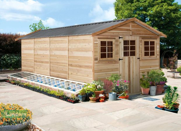 Jacaranda-cedar-shed