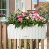 A_BLC_CTG50_w_Fuchsia_Impatiens_Torenia-1.jpg