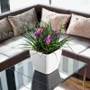 A_Q21_LS_w_Tillandsia.jpg
