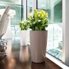 A_RD32_2_tp_w_Zantedeschia_v2-1.jpg