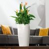 A_RD32_w_Heliconia_TITELVARIANTE-1.jpg