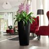 A_RD40_sw_Aechmea_fasciata-1.jpg
