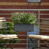 BALCONERA-50-Image-1.png