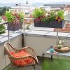 BALCONERA-Color-50-80-V2.png