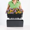 BALCONERA-Color-50-Spec-Image1.png