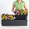 BALCONERA-Color-80-Spec-Image1.png