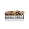BALCONERA-Color-80-Spec-Image2.png