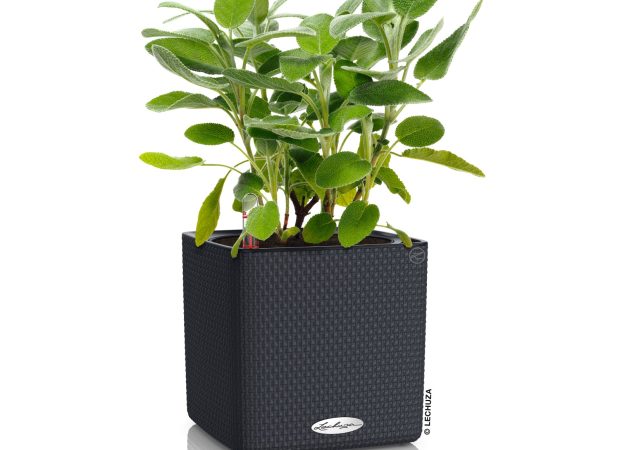 CUBE-Color-16-Main-Images.png