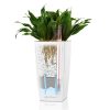 CUBI-Spec-Image-Watering.png