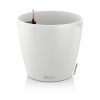 Classico-Color-1White.jpg