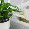 Classico-Color-Spec-Image-1.jpg