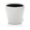 Classico-LS-Color-1White.jpg