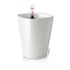 DELTINI-Color-Variations-1White.jpg