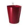 DELTINI-Color-Variations-3Red.jpg