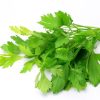 Italian-Parsley.jpg