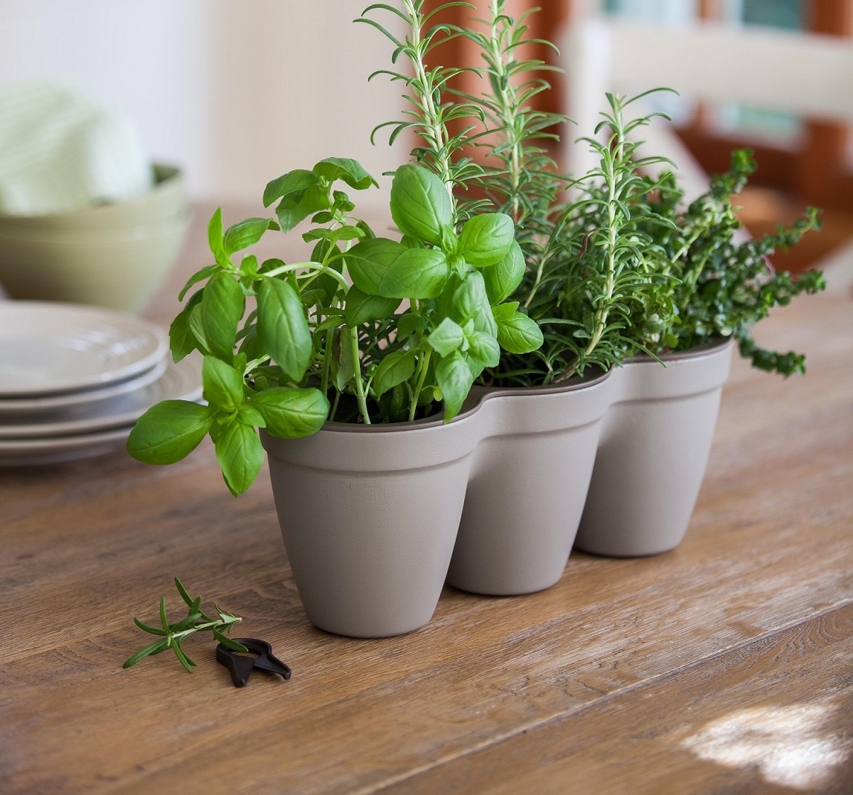 Ivy Herb Planter (Grey)