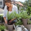 Ivy-Planter-Brown-2.jpg