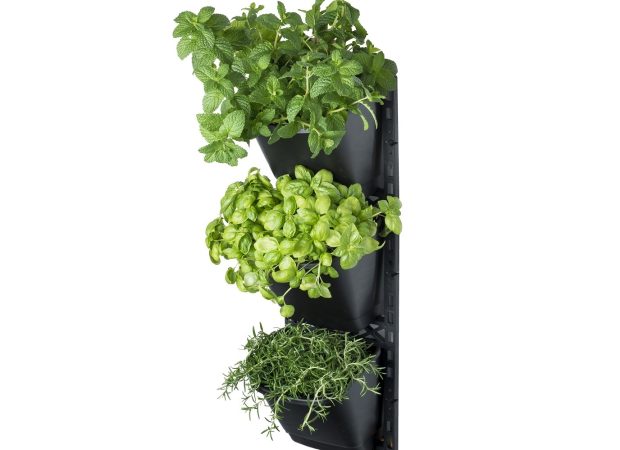 Large-Vertical-Garden-3-1-1.jpg