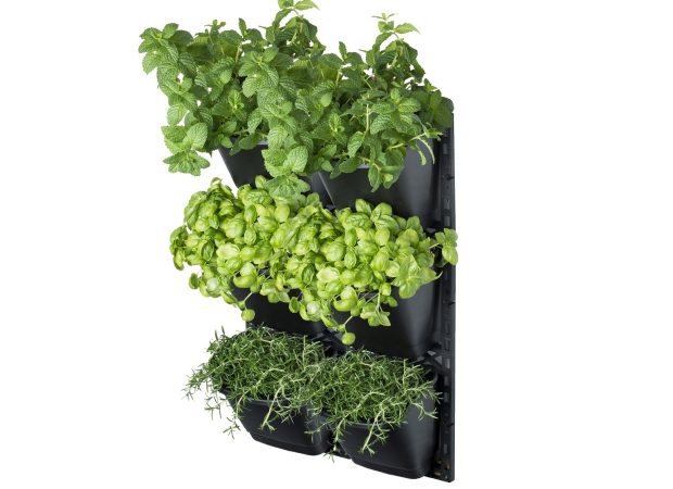 Large-Vertical-Garden-x-2-1.jpg