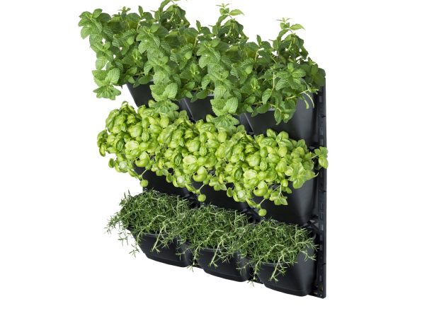 Large-Vertical-Gardenx3-1.jpg