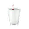 MINI-DELTINI-Color-Variations-1White.jpg