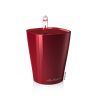 MINI-DELTINI-Color-Variations-3Red.jpg