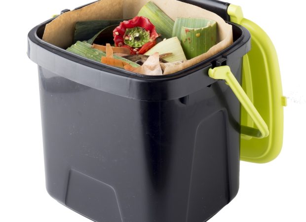 Paper-Bags-6-2.jpg