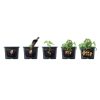 Potato-Grower-Planter-Image3.png