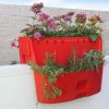 Saddle-Planter.jpg
