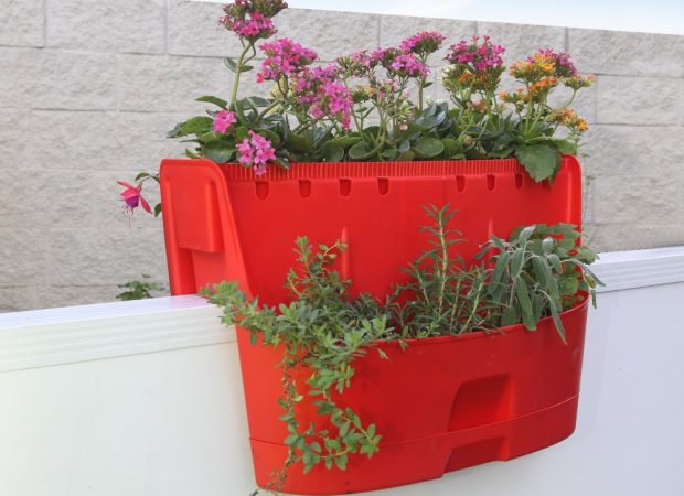 Saddle-Planter.jpg