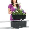 T_BLC_CTG50_gra_Arrangement-1.jpg